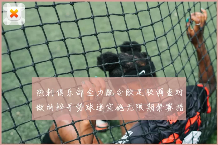 热刺俱乐部全力配合欧足联调查对做纳粹手势球迷实施无限期禁赛措施