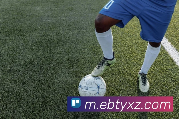 易倍体育App平台生态图