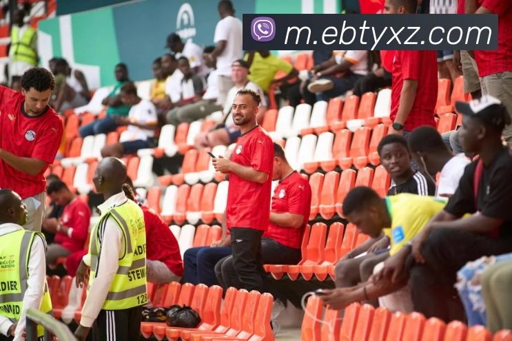 易倍体育AppAPP 封面图